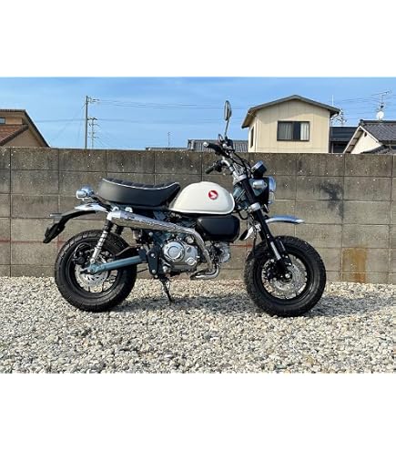 Amazon | スペシャルパーツ武川(TAKEGAWA) トルネードマフラー 政府